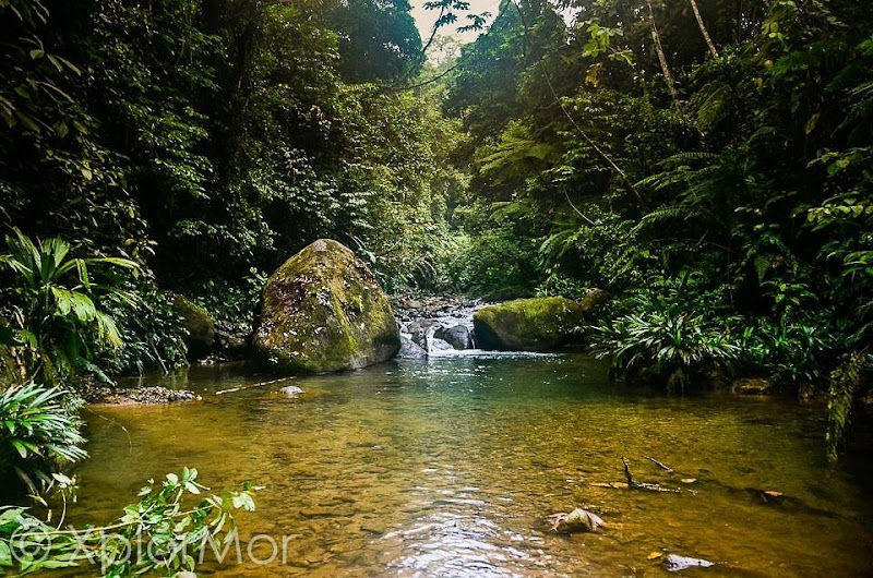 Darien National Park: Panama's Untamed Wilderness - Darien National Park