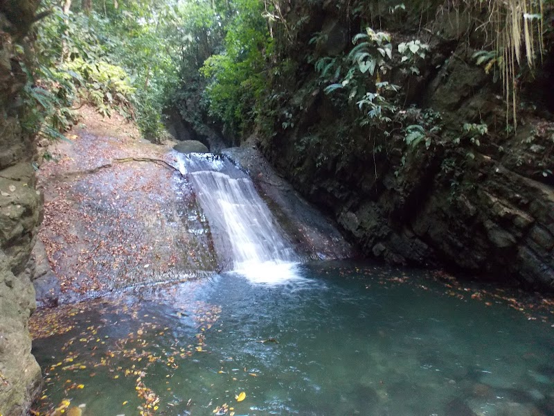 Darien National Park: Panama's Untamed Wilderness - Darien National Park