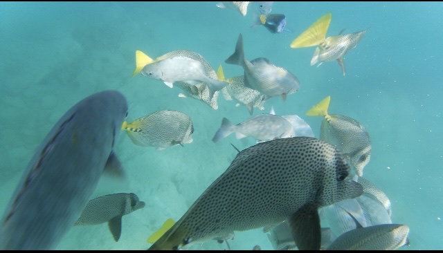 Paradise at Cabo Pulmo Beach - Cabo Pulmo Beach