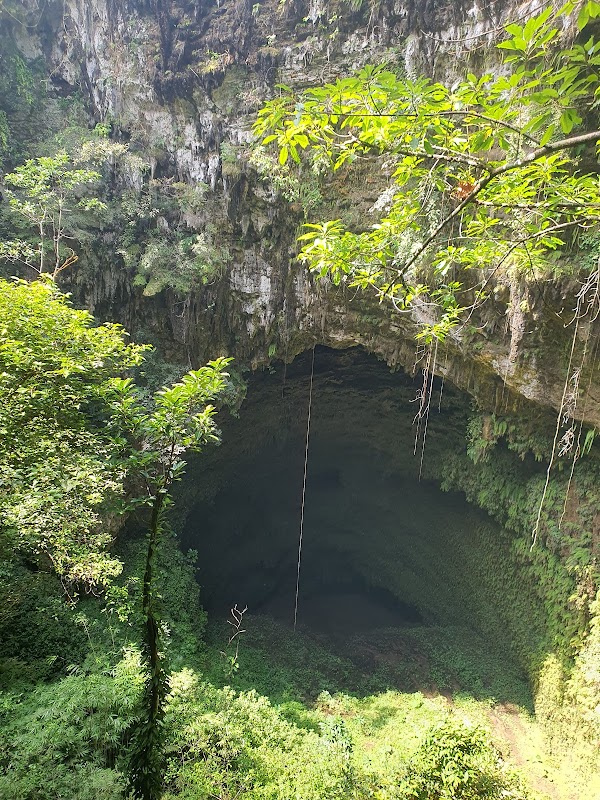 Caving Wonders: Jomblang Cave - Jomblang Cave