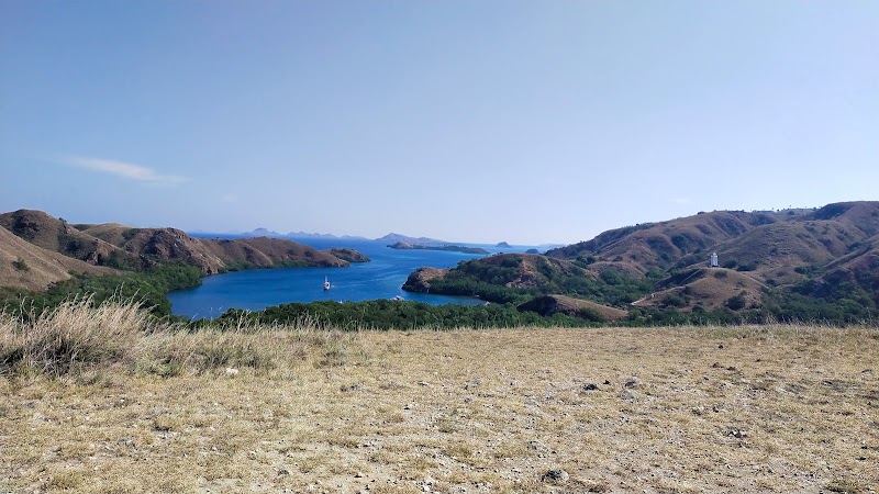 Wildlife Wonders of Rinca Island - Rinca
