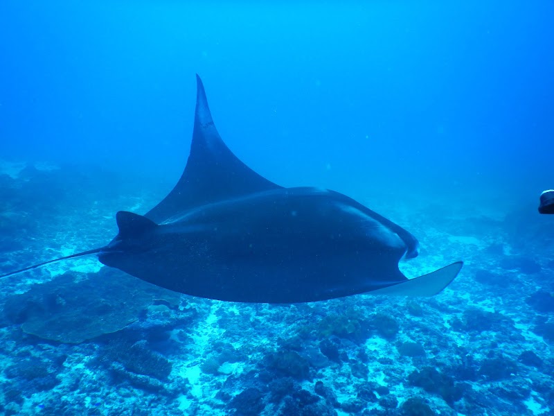 Water Sports at Manta Point - Manta Point