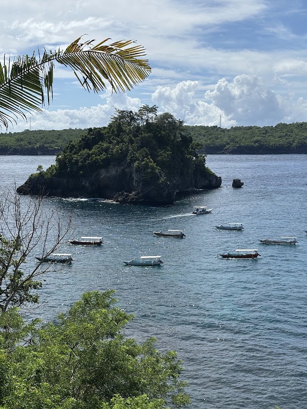 Discover Crystal Bay: Nusa Penida's Tropical Paradise - Crystal Bay Nusa Penida