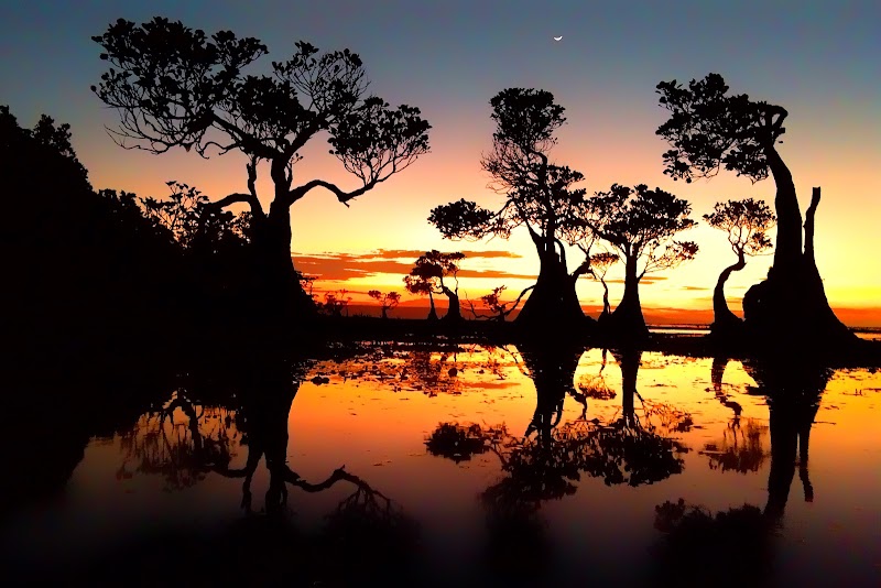 Enchanting Sunsets at Pantai Walakiri - Pantai Walakiri