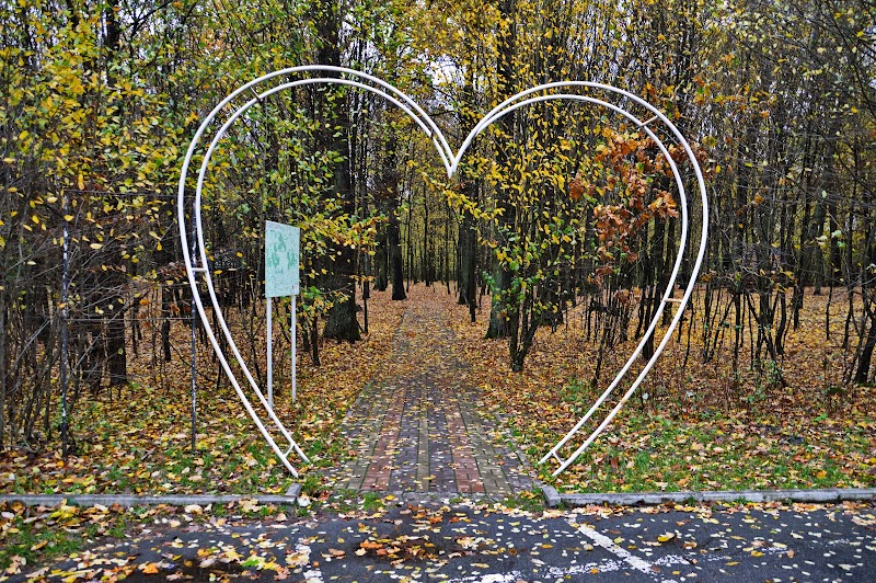 Nature's Enchantment: Tunnel of Love - Tunnel of Love