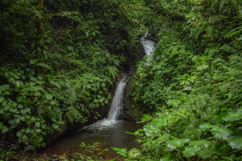 Monteverde's Enchanting Canopy Adventure - Entrance to Monteverde Reserve
