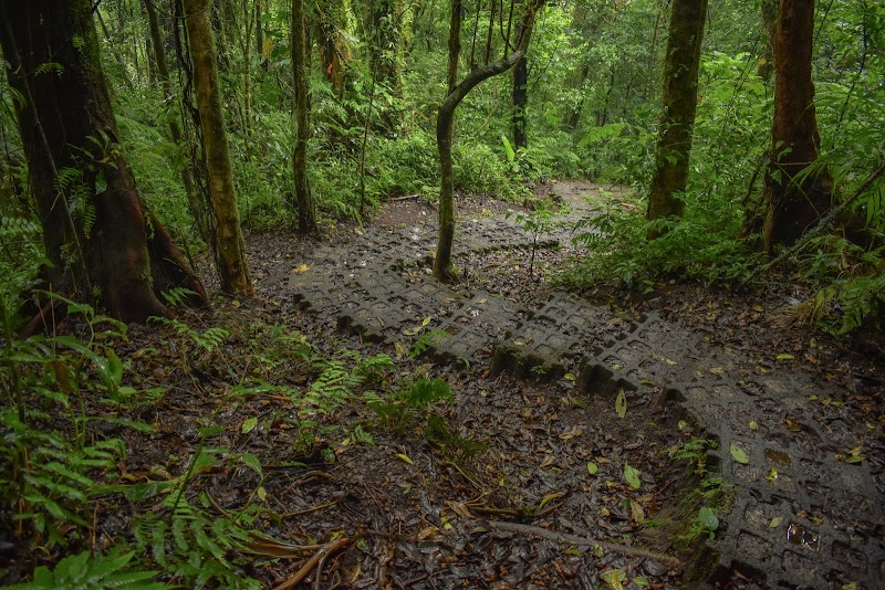 Monteverde's Enchanting Canopy Adventure - Entrance to Monteverde Reserve