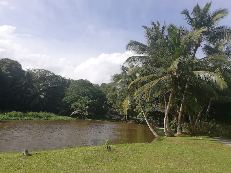 Tropical Paradise of Seychelles - Seychelles