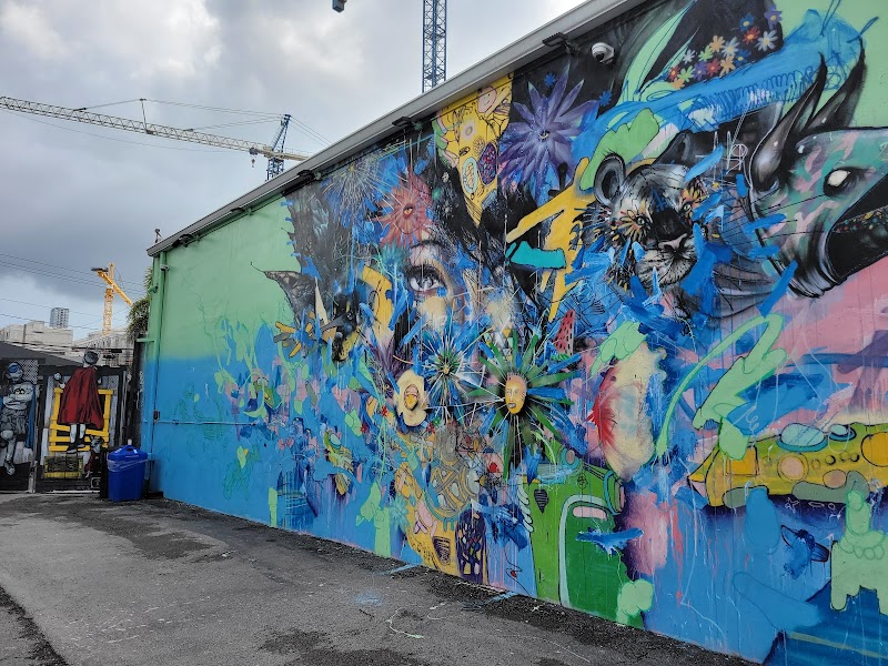 A Colorful Canvas: Wynwood Walls outdoor detail