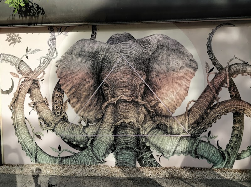 A Colorful Canvas: Wynwood Walls - Wynwood Walls