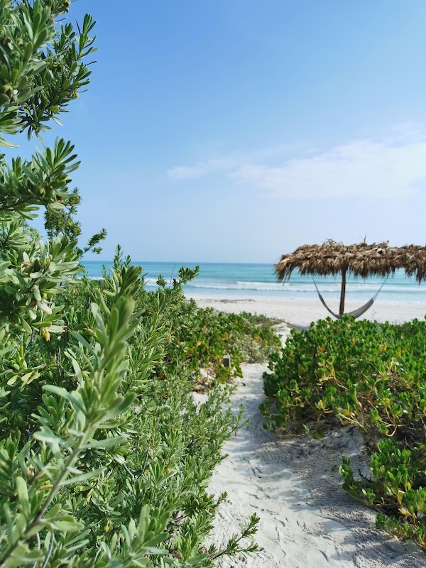 Sunny Shores of El Cuyo - El Cuyo