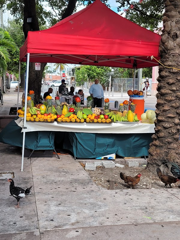 Vibrant Rhythms of Little Havana - Little Havana