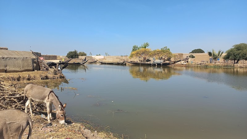 Tranquil Waterscapes of Bani, Mali - Bani