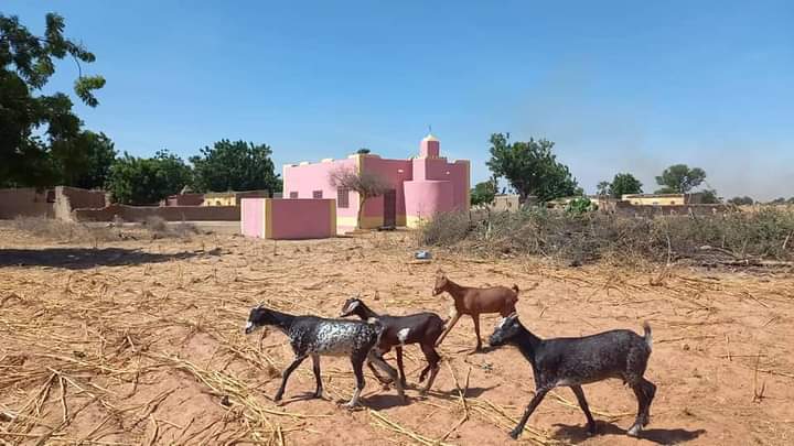Charming Riverside Scenes of Segou - Segou