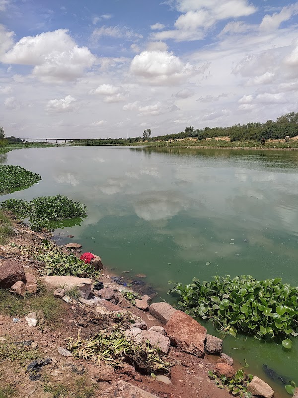 Journey Along the Serene Niger River - Niger River