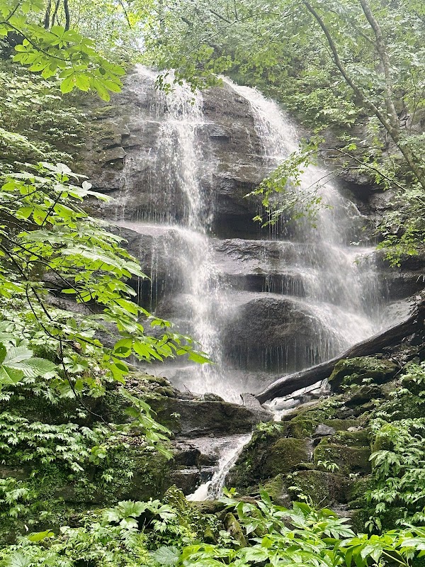 Nature's Paradise: Oirase Gorge - Oirase Gorge