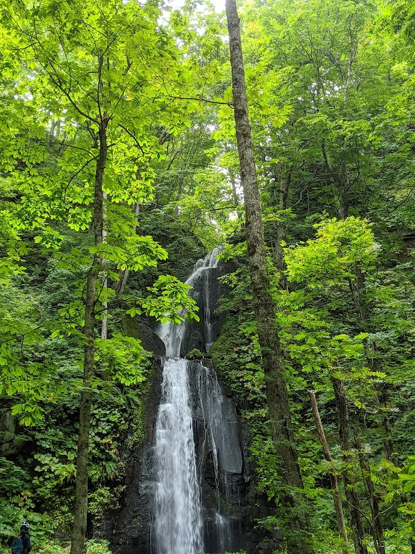 Nature's Paradise: Oirase Gorge - Oirase Gorge