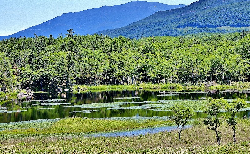 Discover the Natural Wonders of Shiretoko Peninsula - Shiretoko Peninsula