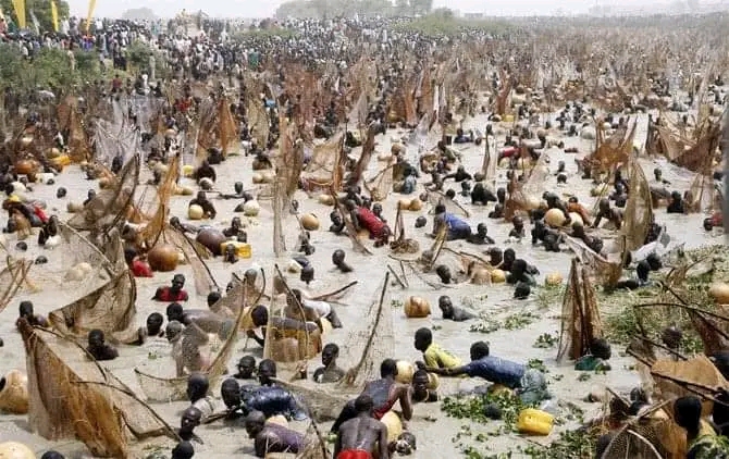 Wildlife Haven in Kebbi's Lush Rivers - Kebbi