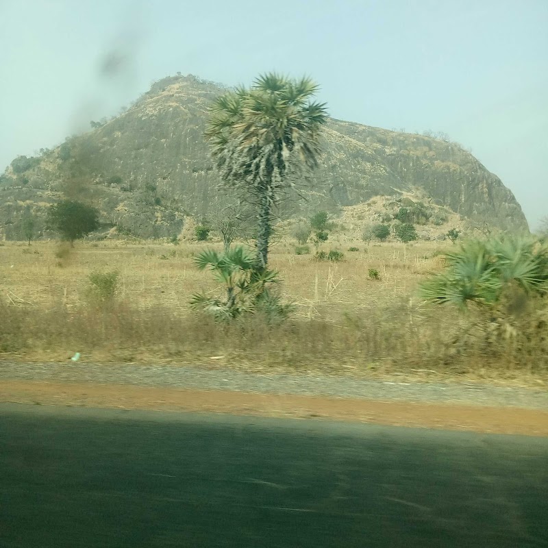 Nature's Oasis in Bauchi - Bauchi