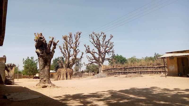 Discover the Charm of Kano’s Unique Landscape - Kano