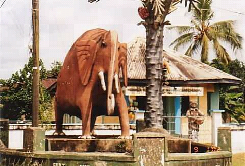 Charming Scenes of Abia's Natural Beauty - Abia