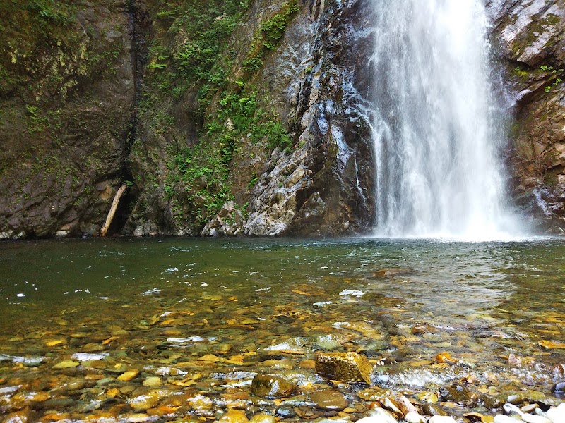 The Enchanting Forests of Shiragamisanchi - Shiragamisanchi