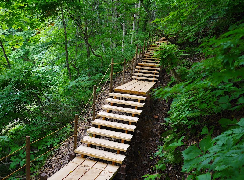 The Enchanting Forests of Shiragamisanchi - Shiragamisanchi