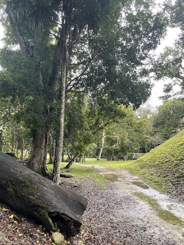Ancient Wonders at Tikal Park - Tikal Park