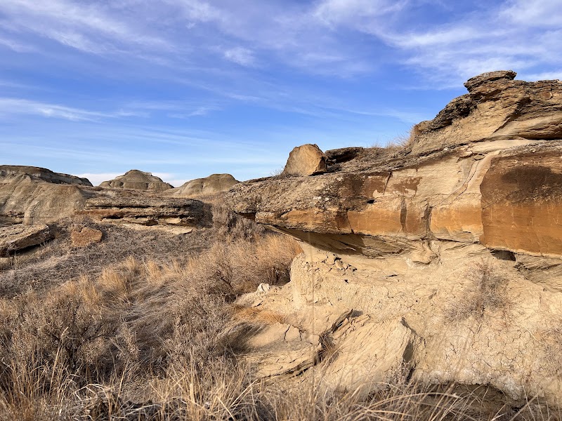 Earth's Time Capsule: Dinosaur Provincial Park - Dinosaur Provincial Park