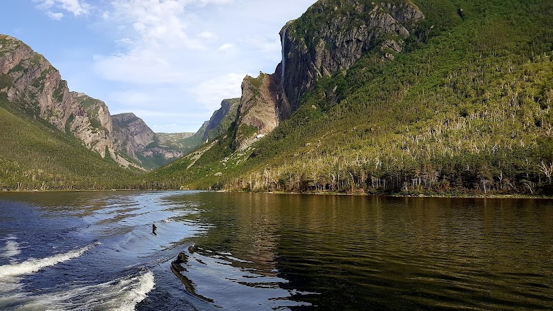 Majestic Landscapes at Gros Morne National Park - Gros Morne National Park