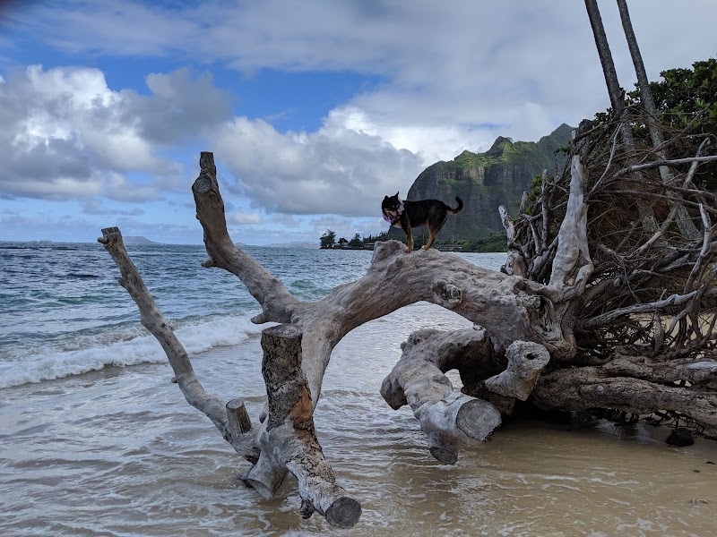 Seaside Serenity at Kaaawa Beach - Kaaawa Beach