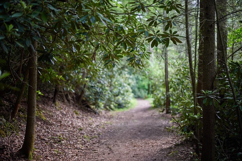 Discover Nature's Charm: Little Beaver State Park outdoor detail