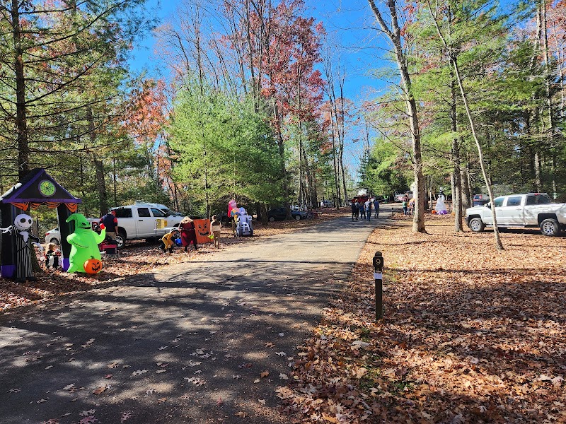 Discover Nature's Charm: Little Beaver State Park surrounding landscape