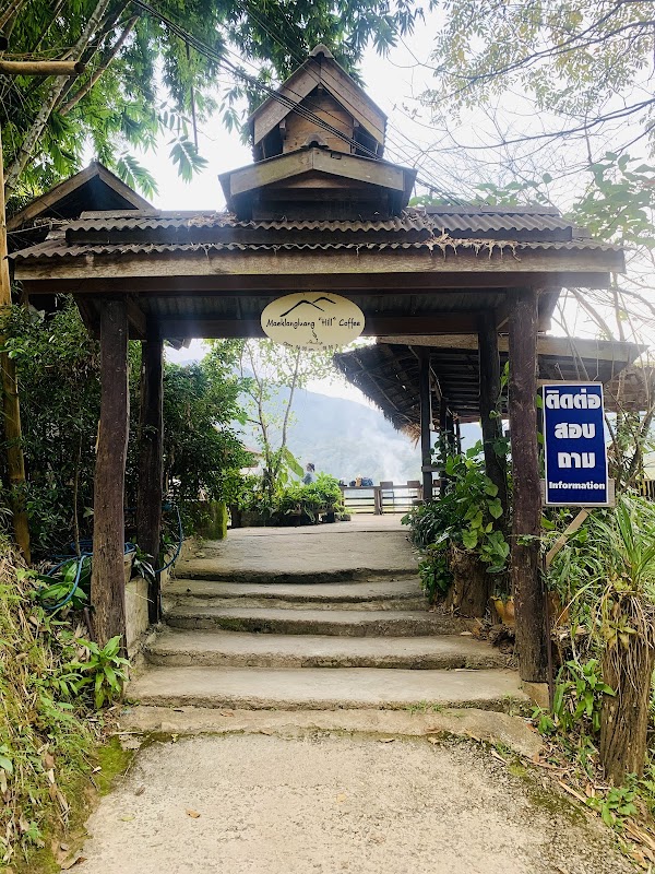 Exploring Doi Inthanon National Park: Thailand's Rooftop Gem - Doi Inthanon National Park