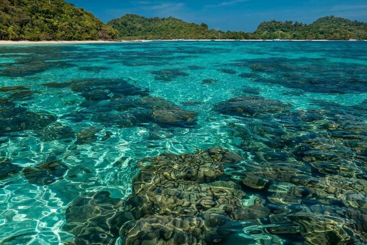 Oceanic Wonders of Ko Lanta District - Ko Lanta District