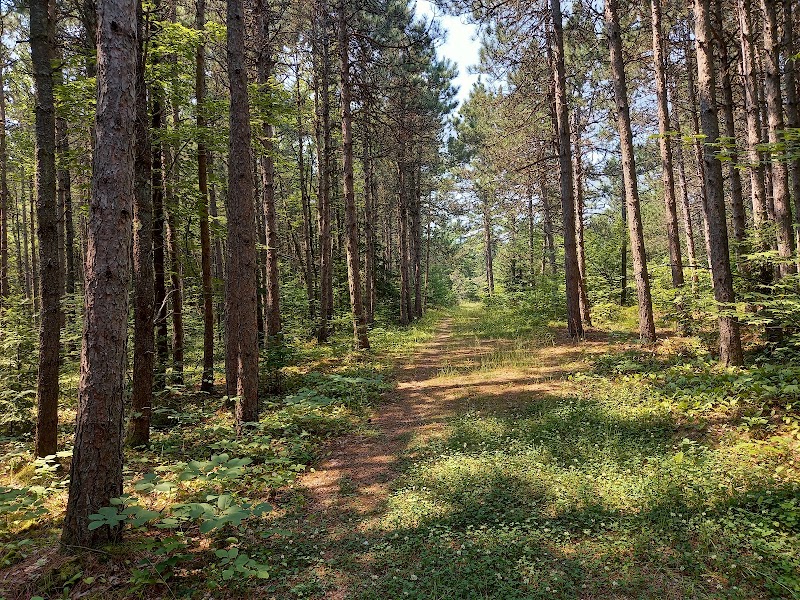 Nature's Retreat: Discover Boom Camp Trails - Boom Camp Trails