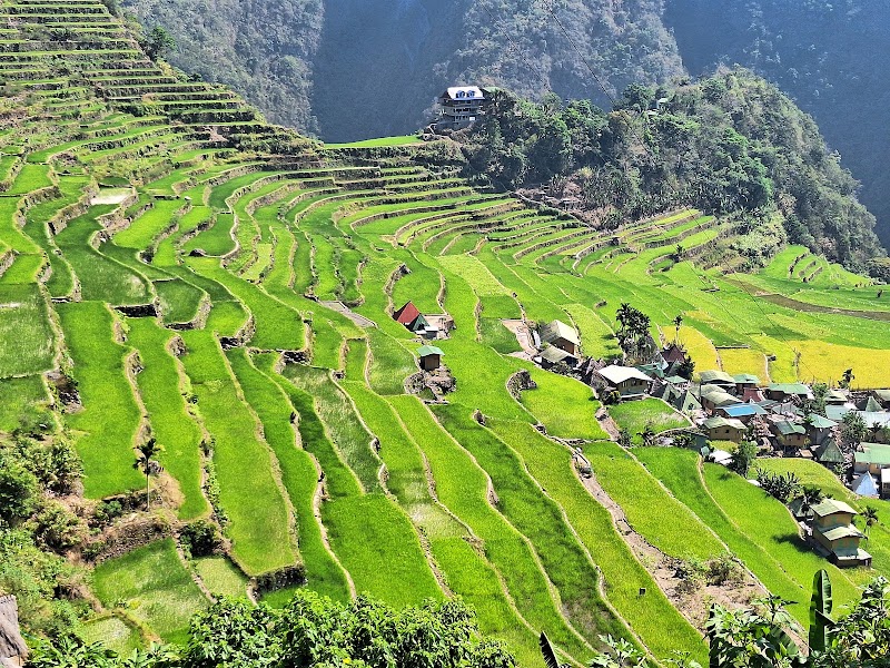 Natural Wonder: Batad Rice Terraces - Batad Rice Terraces