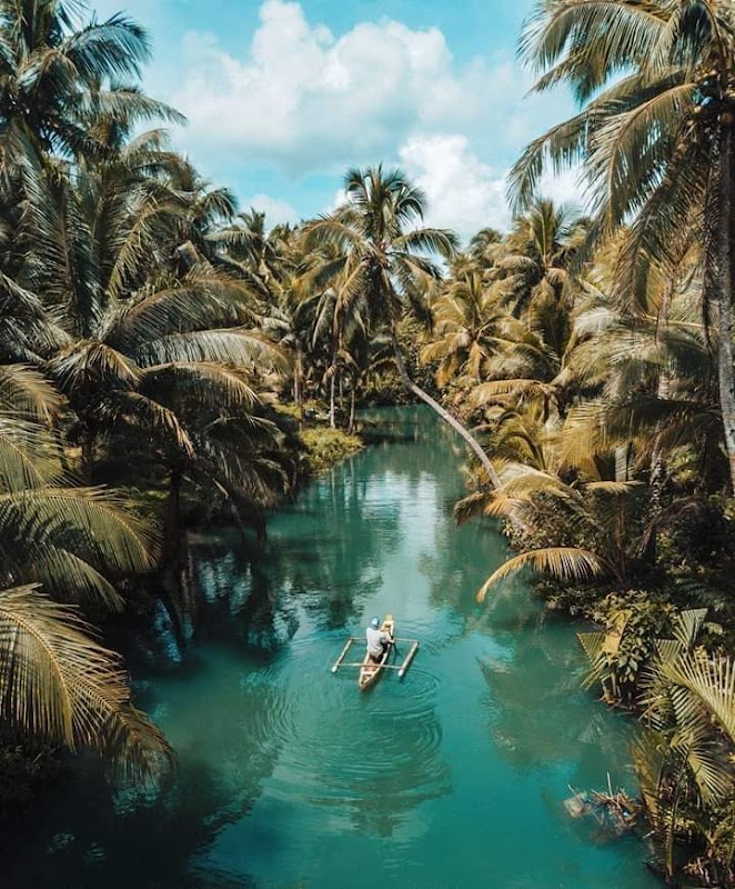 Tropical Escapade on Siargao's Shores - Siargao Island