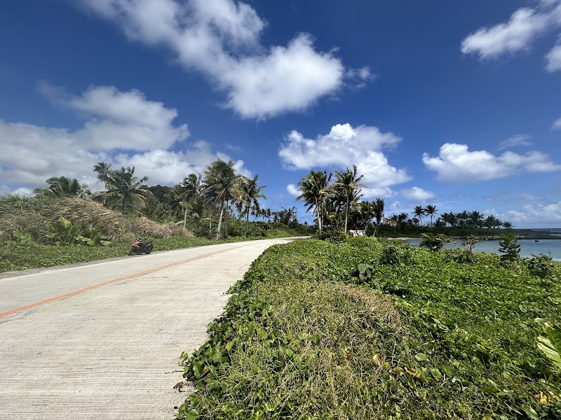 Tropical Escapade on Siargao's Shores - Siargao Island