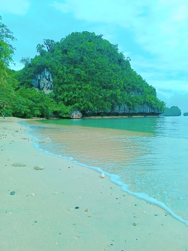 Tropical Tranquility at Marine Park, Samar - Marine Park