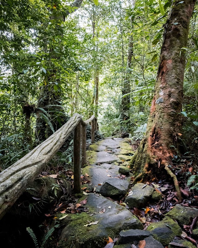 Twin Lakes Wonder: Balinsasayao Twin Lakes Natural Park - Balinsasayao Twin Lakes Natural Park
