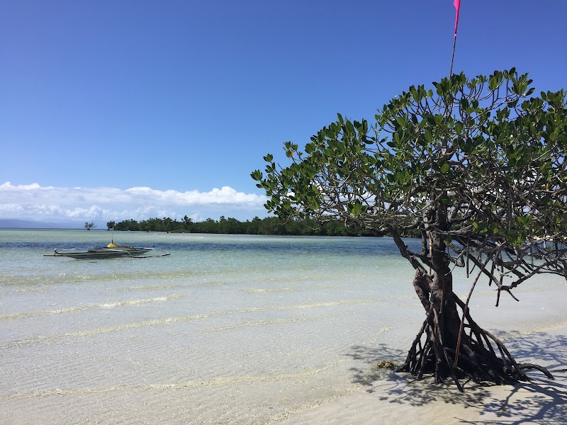 Sands and Shores of Cagbalete Island - Cagbalete Island