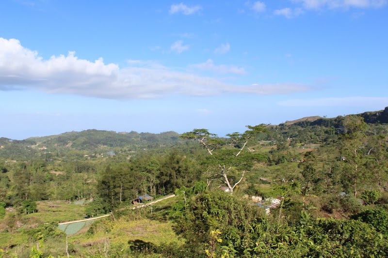 Majestic Peaks and Vistas: Osmeña Peak - Osmeña Peak