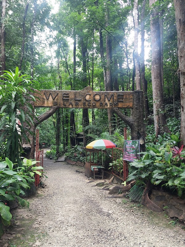 Enchanting Forests of Bilar - Bilar Man-Made Forest