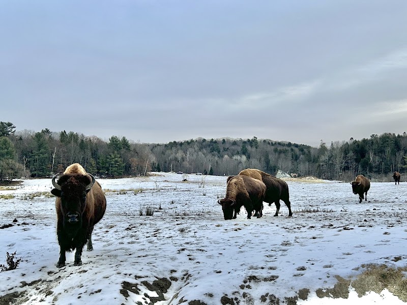 Discover Omega Park's Natural Beauty in Montebello, QC surrounding landscape