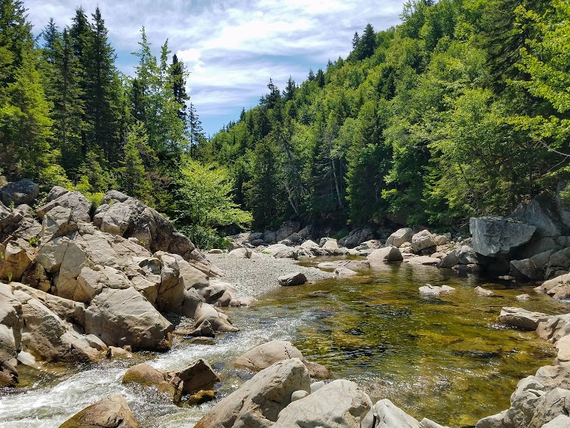 Majestic Coastal Wilderness: Fundy National Park - Fundy National Park Of Canada