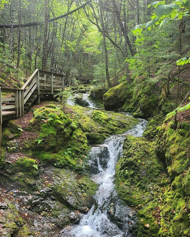 Majestic Coastal Wilderness: Fundy National Park - Fundy National Park Of Canada