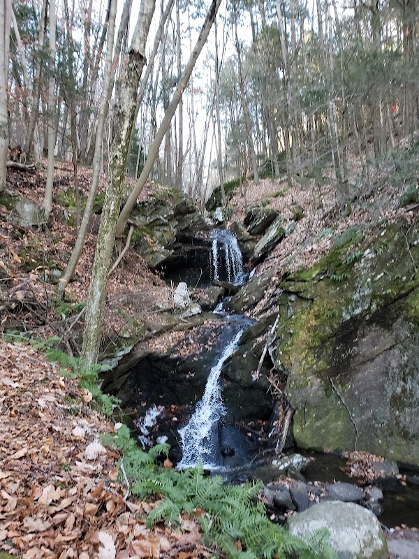 Yantic Falls: A Hidden Gem in Norwich outdoor detail