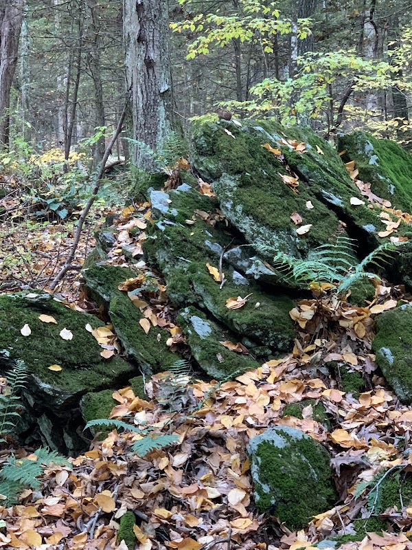 Discovering Tory's Cave in New Milford surrounding landscape